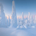 Лапландія тур: казкова подорож до Санти