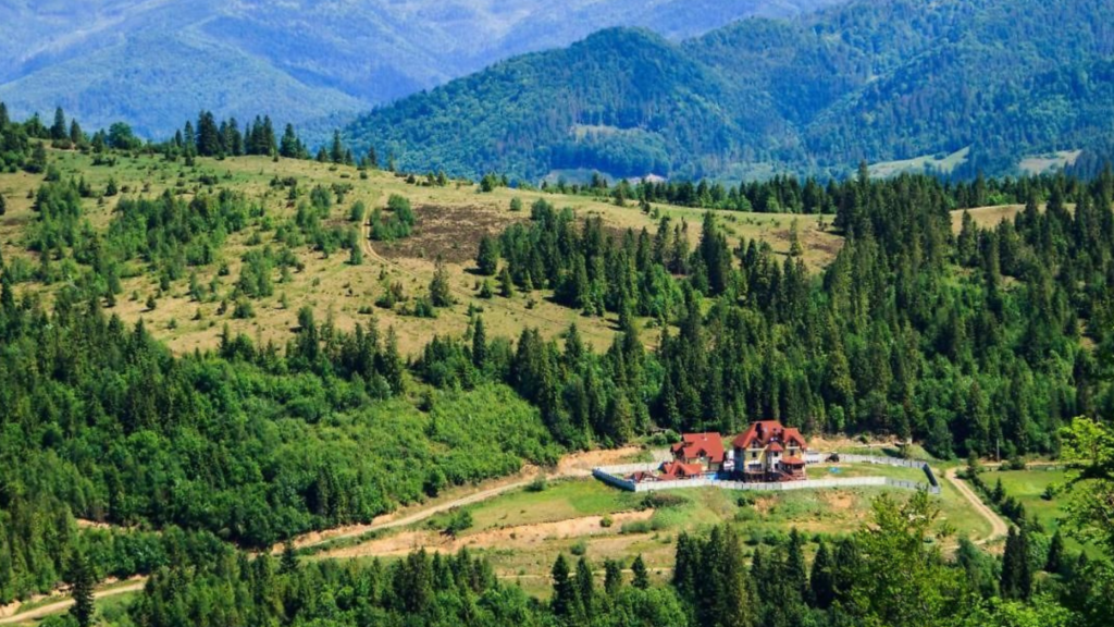 Відпочинок в Карпатах: гори, релакс і активності 🏔️